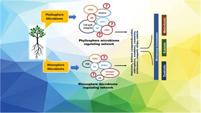 Bioprospecting Microbiome for Soil and Plant Health Management Amidst Huanglongbing Threat in Citrus: A Review